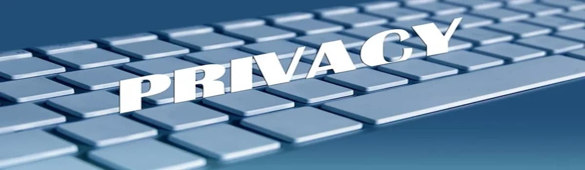Digital Whopper Privacy Policy